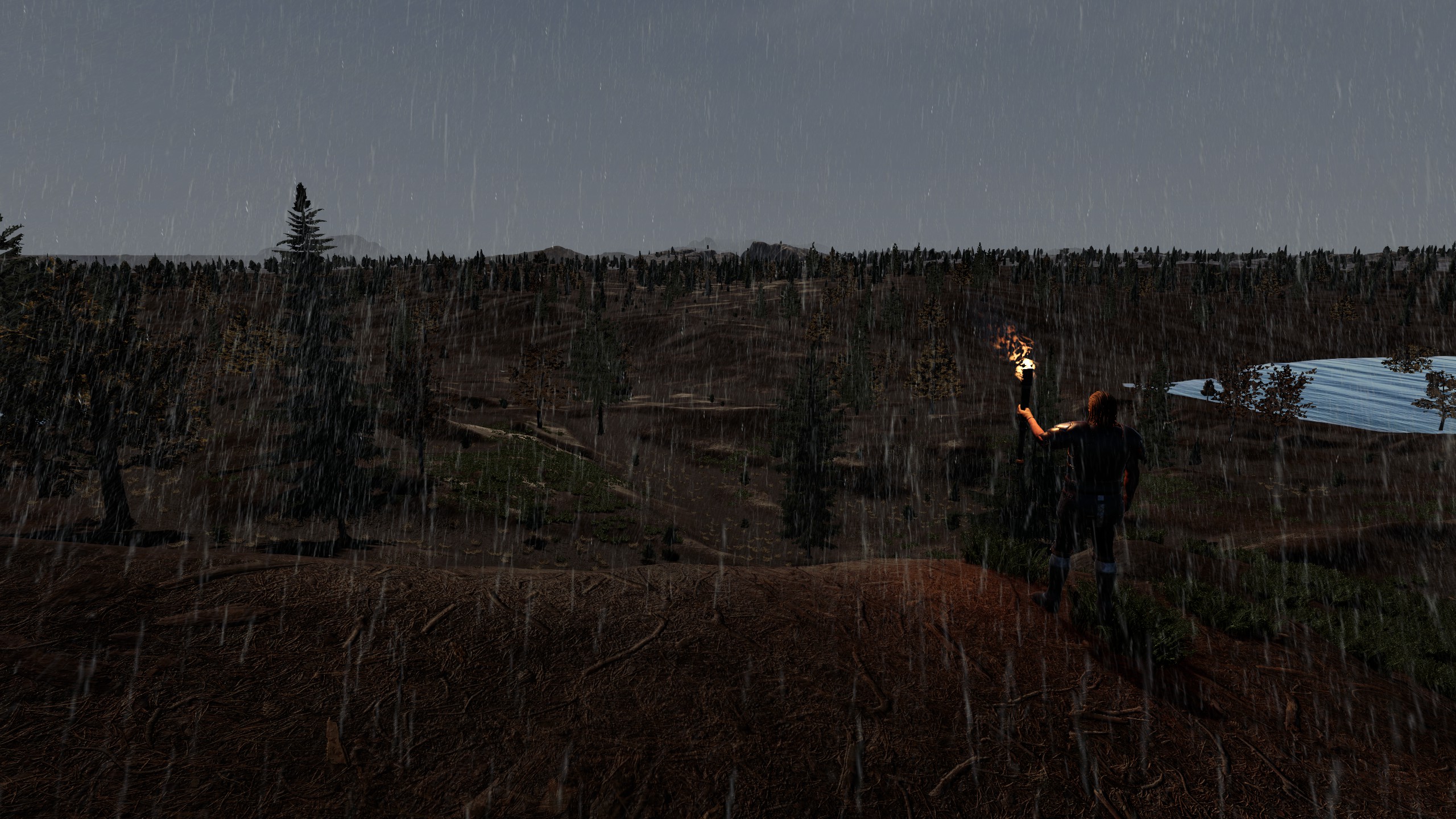 A traveler raising a burning torch over a rain-soaked valley in Mortalis